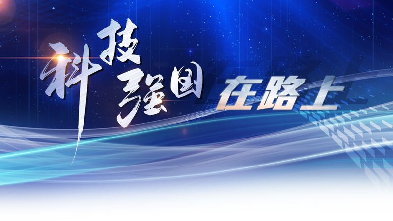 软件定制开发：深入解析其优缺点